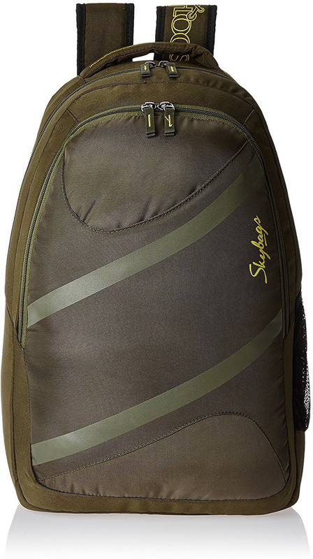 Skybags LPBPROU2GRN 24 L Backpack(Green) Skybags LPBPROU2GRN 24 L Backpack(Green)