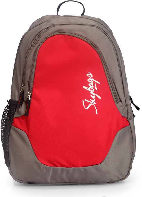 skybags aether