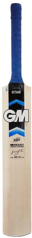 GM Octane F2 202 Kashmir Willow Cricket Bat(1000-1200 g)