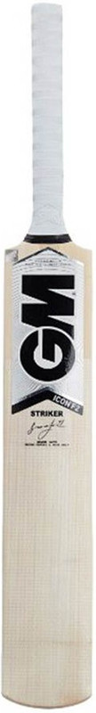 GM Icon F2 Striker Kashmir Willow Cricket Bat(700 - 1050 g)