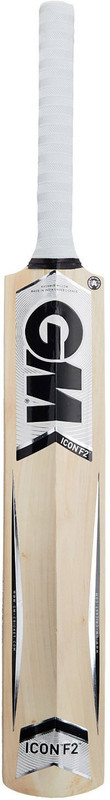 GM Jr. Icon F2 Striker Kashmir Willow Cricket Bat(700 - 1200 g)