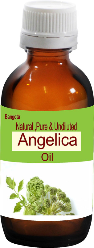 Bangota Angelica Oil - Natural, Pure & Undiluted -50 ml(50 ml)