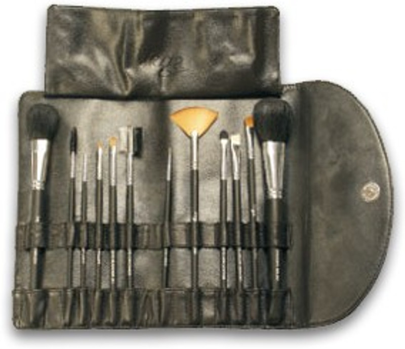 Vega Set of 12 Make-up Brushes