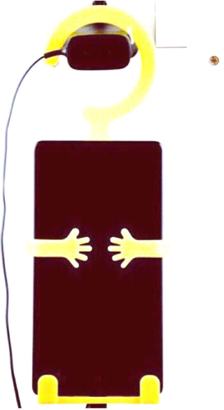 Disney(Black, Orange, Green, Red, Florescent Yellow)