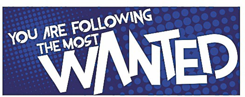 Rover Sports Sticker for Windows, Sides, Bumper, Hood(Blue) Rover Sports Sticker for Windows, Sides, Bumper, Hood(Blue)