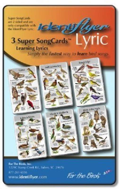 Identiflyer Lyric 3 Super Song(Multicolor)