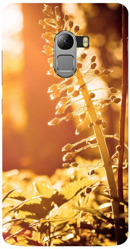 designhub Back Cover for Lenovo K4 Note(Multicolor)