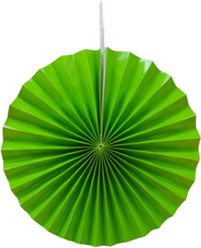 M&C Dream Gifts Green paper fan - 50 g M&C Dream Gifts Green paper fan - 50 g