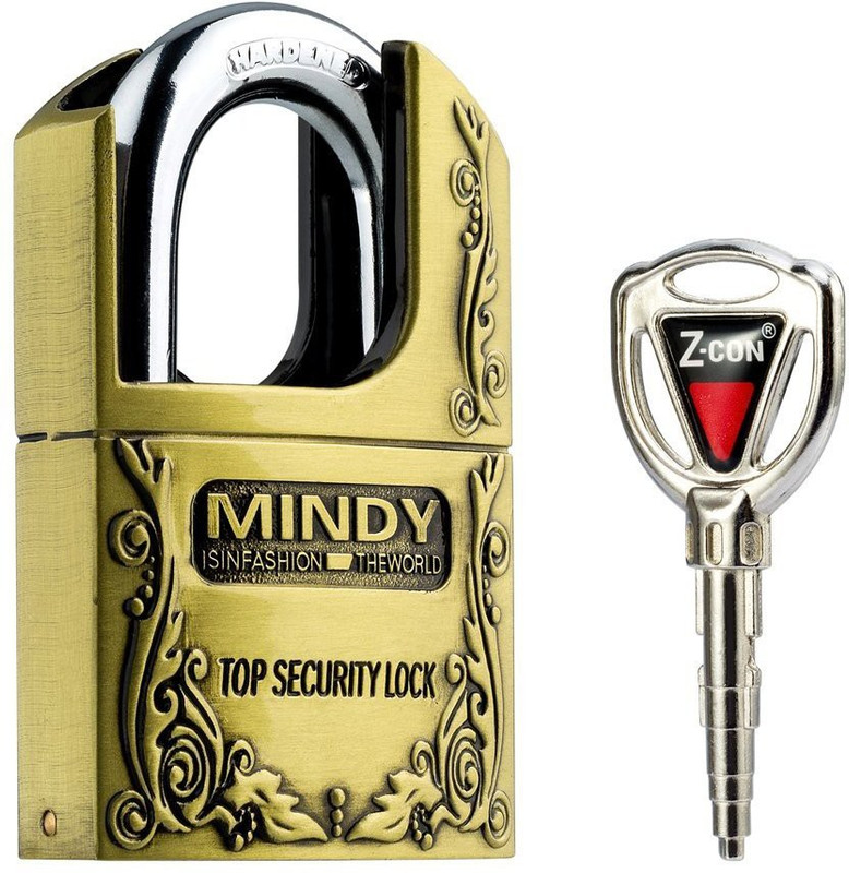mindy Brass Metallic Door levers(Gold)