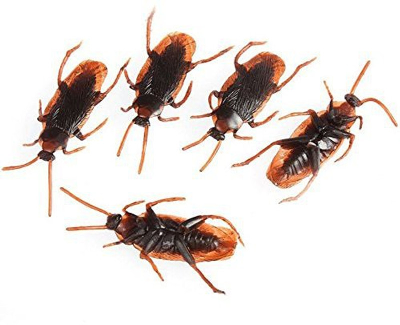 Futaba 1015PAT fake cockroach Gag Toy