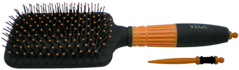Vega Paddle Brush with Stick