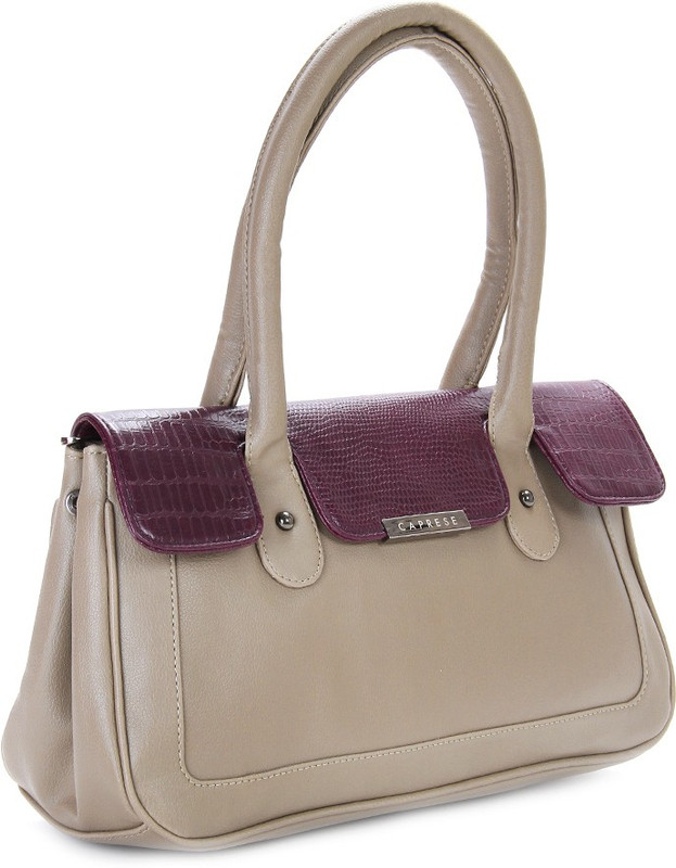 Caprese Women Purple, Grey Satchel