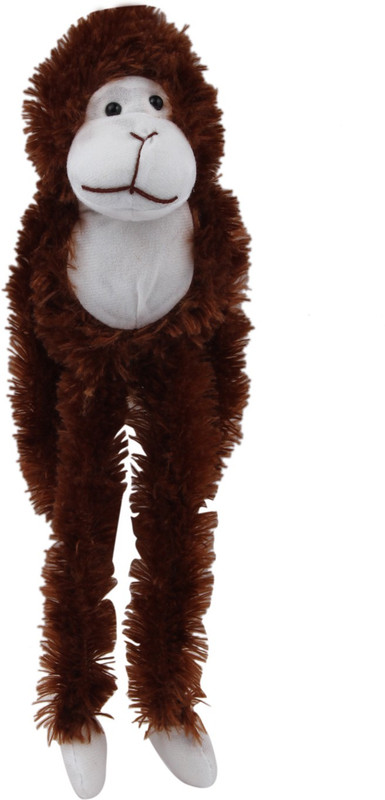 long arm monkey