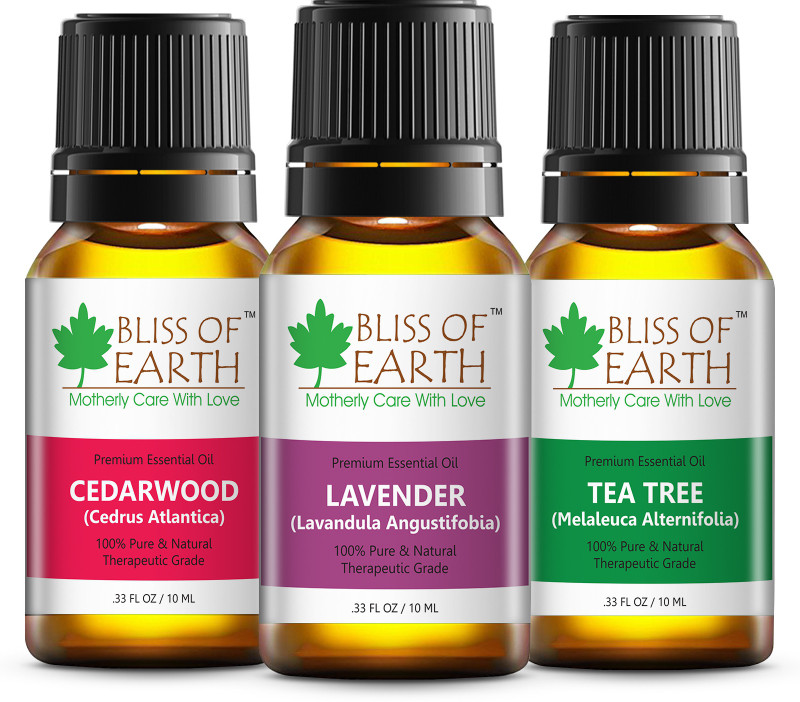 Bliss of Earth 100% Pure Cedarwood Lavender & Tea Tree Essential Oils 10ML Each Combo Set