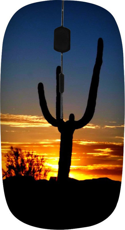 ROBMOB High Quality RBMB-450 Wireless Optical Mouse(USB, Multicolor)