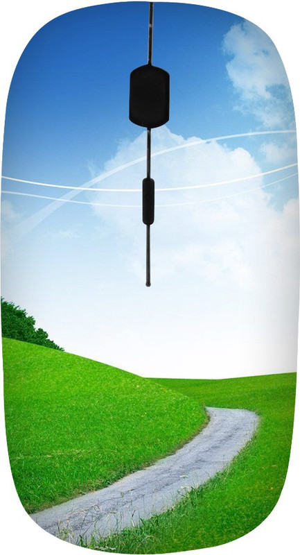 ROBMOB High Quality RBMB-533 Wireless Optical Mouse(USB, Multicolor)