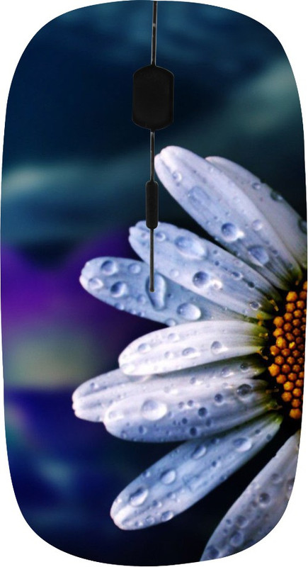 ROBMOB High Quality RBMB-808 Wireless Optical Mouse(USB, Multicolor)