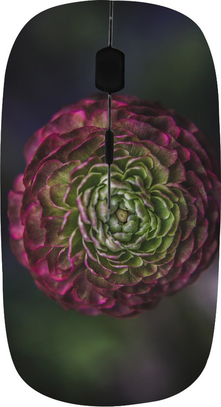 ROBMOB High Quality RBMB-572 Wireless Optical Mouse(USB, Multicolor)