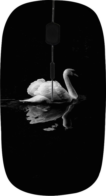 ROBMOB High Quality RBMB-656 Wireless Optical Mouse(USB, Multicolor)