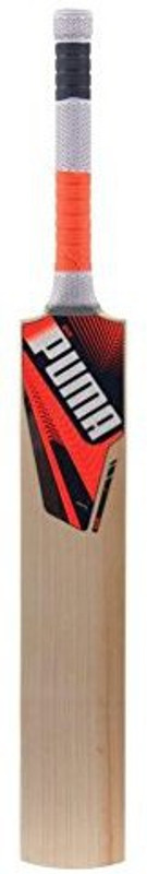 Puma evoSPEED 1 KW 15 Kashmir Willow Cricket Bat(1000-1200 g g)