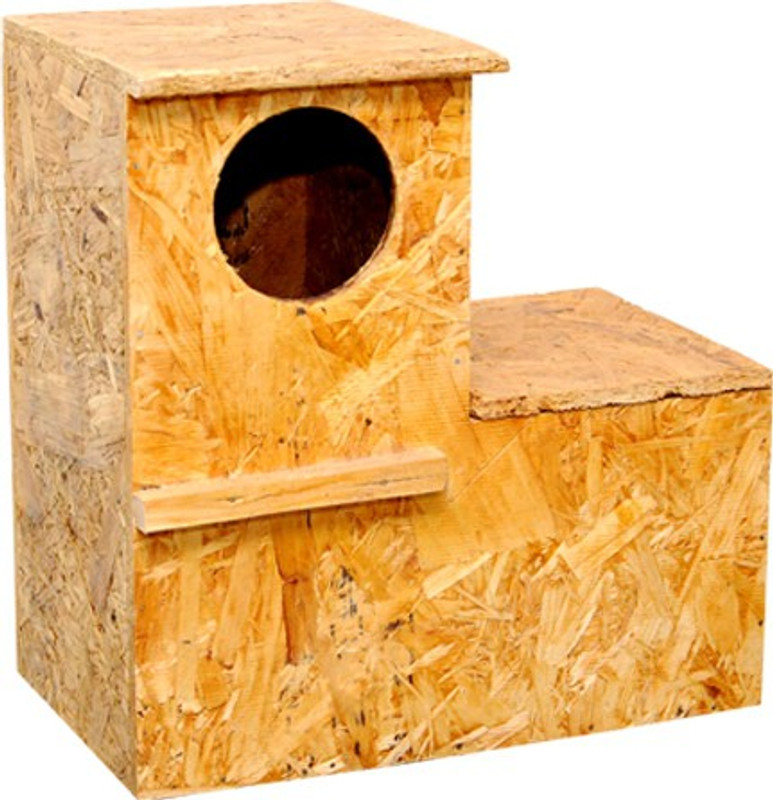 amijivdaya Window Bird Feeder Bird Feeder(Multicolor)