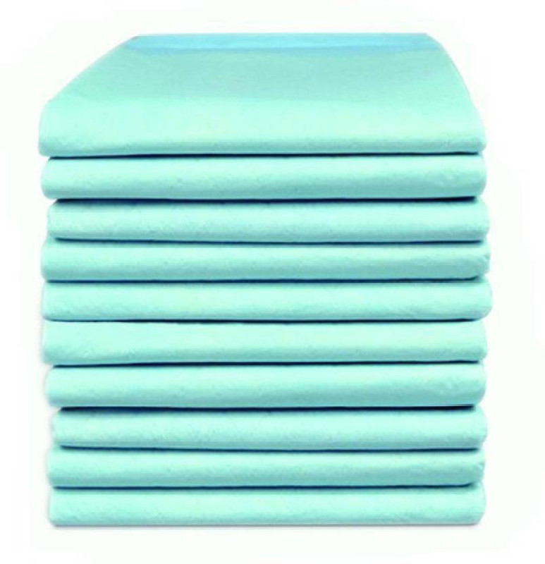 Health Track Underpad Sheet Large Adult Diapers - L(10 Pieces)
