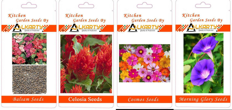 alkarty Balsam, Celosia, Cosmos, Morning Glory summer flower seeds pack of 20 each Seed(20 per packet)