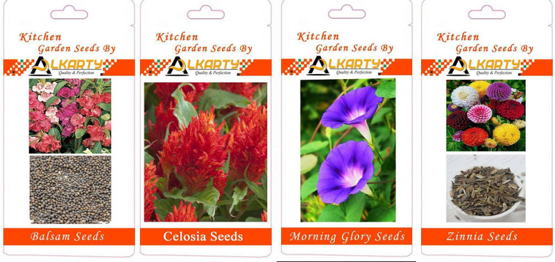 alkarty Balsam, Celosia, Morning Glory, Zinnia summer flower seeds pack of 20 each Seed(20 per packet)