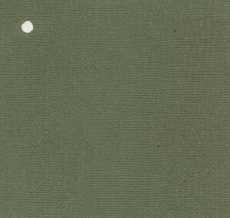 craftsneed CARD STOCK PRINTED 12X12 Multipurpose Paper(Set of 1, Dark Green)