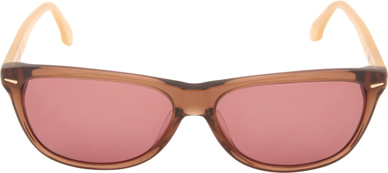 Calvin Klein Wayfarer Sunglasses(Pink)