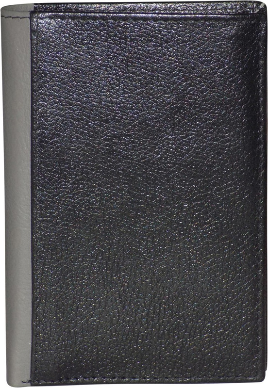 Style 98 Fashion/Travel 10 Card Holder(Set of 1, Multicolor)