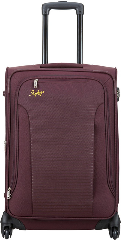 Skybags Napier Expandable Check-in Luggage - 26 inch(Purple)