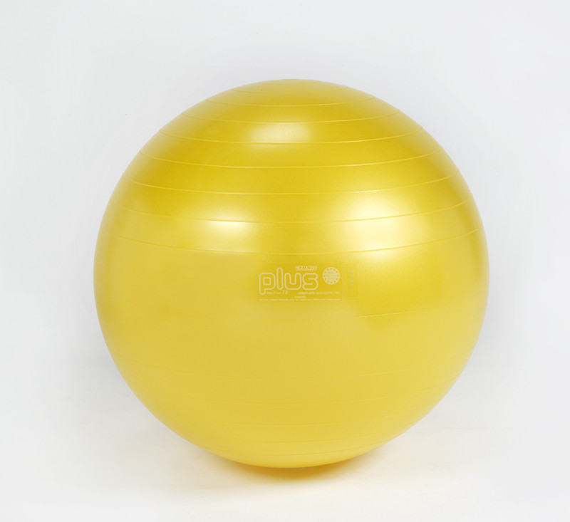 Gymnic Classic Plus Gym Ball