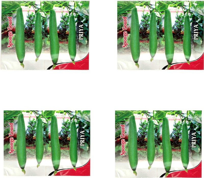 deepa Sponge Gourd /Tori Seeds pack of 4pkt Seed(1 per packet)