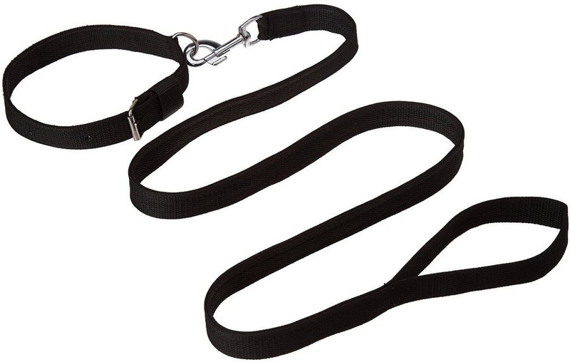 PAW ZONE Dog Collar & Leash(Large, Black)