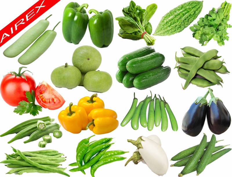 Buy Airex Bottle Gourd,capsicum,spinach,bitter Gourd,coriander,tomato