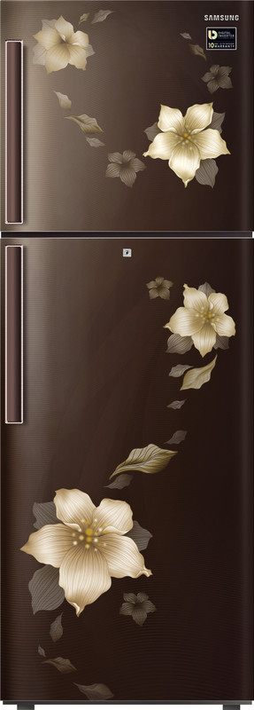 Samsung 253 L Frost Free Double Door 3 Star Refrigerator(Star Flower Brown, RT28M3343D2/NL/RT28K3343D2/HL) Samsung 253 L Frost Free Double Door 3 Star Refrigerator(Star Flower Brown, RT28M3343D2/NL/RT28K3343D2/HL)