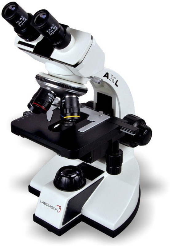 labovision AXL Binocular Compound Clinical Microscope(Multicolor)