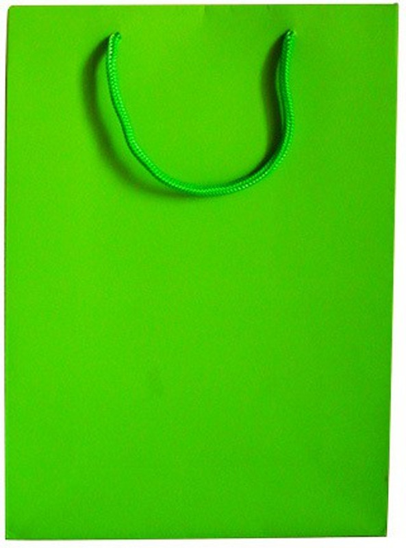 Paper Bag Zone Solid Party Bag(Green, Pack of 10)