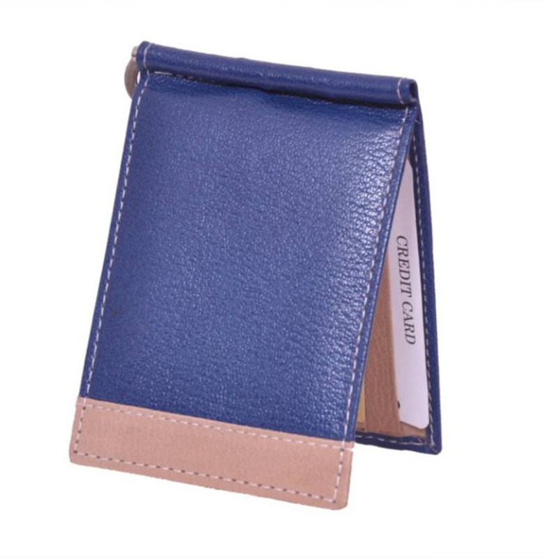 Southpole Fashions Men Blue Genuine Leather Wallet(6 Card Slots)