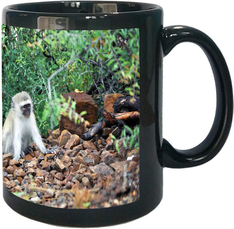 Arkist baby vervet monkey Ceramic Mug(340 ml)