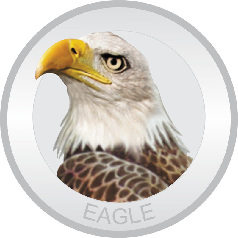 hf metalart Eagle Silver Enameled Coin