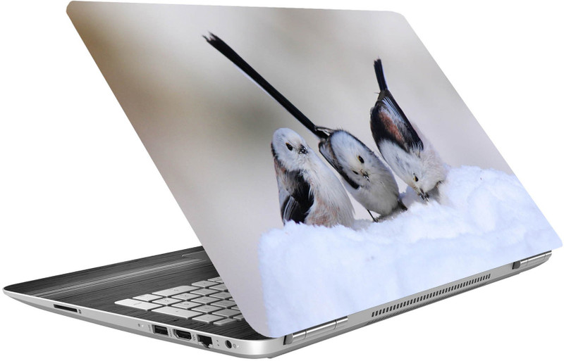 imbue snow birds high qality vinyl Laptop Decal 15.6