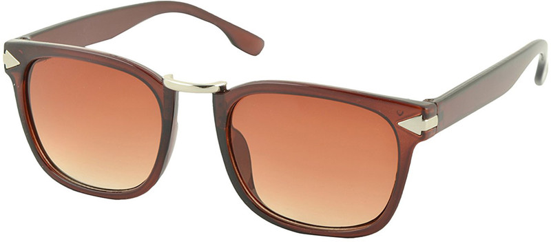Aventus Wayfarer Sunglasses(Brown)