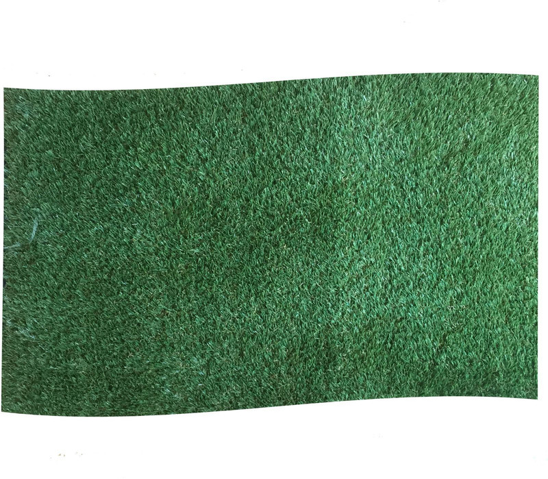 shyam enterprises Plastic Door Mat(Green, Medium)