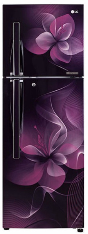LG 255 L Frost Free Double Door 4 Star Refrigerator(Purple Dazzle, GL-F282RPDX) LG 255 L Frost Free Double Door 4 Star Refrigerator(Purple Dazzle, GL-F282RPDX)