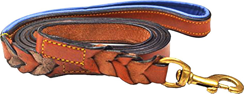 Petsup dog belt leash for labrador and small dogs 183 cm Dog Martingale Leash(Blue)