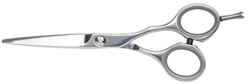 1907 AC-NCS004 Scissors(Set of 1, Silver)