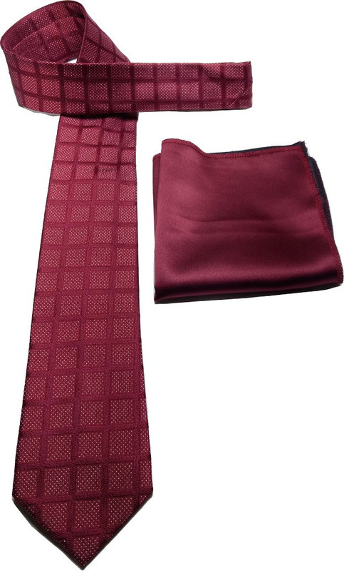 mentiezi Checkered Tie(Pack of 2)