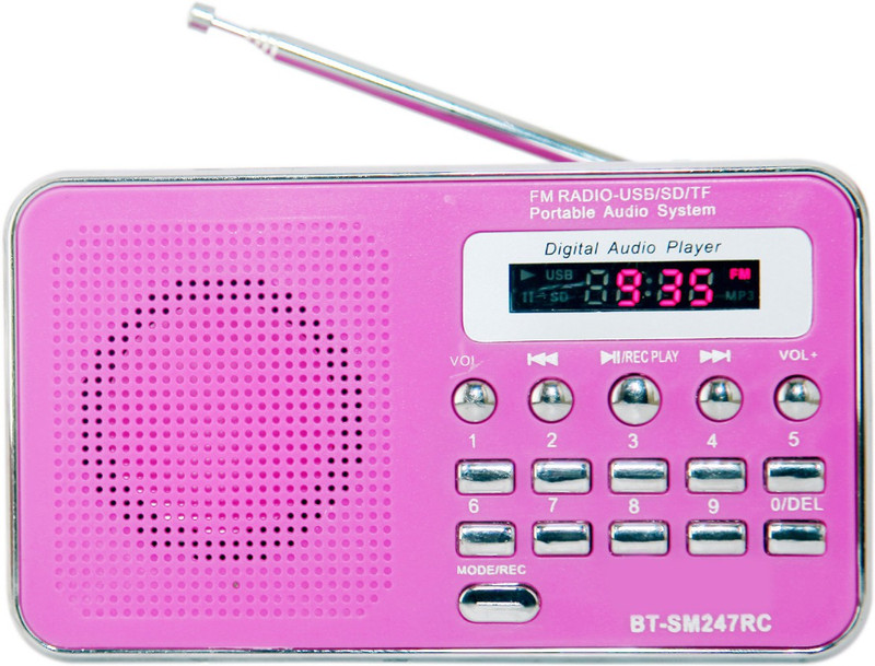 Yuvan BIT SM-247 Recording USB/ SD Player With FM Radio(Pink)